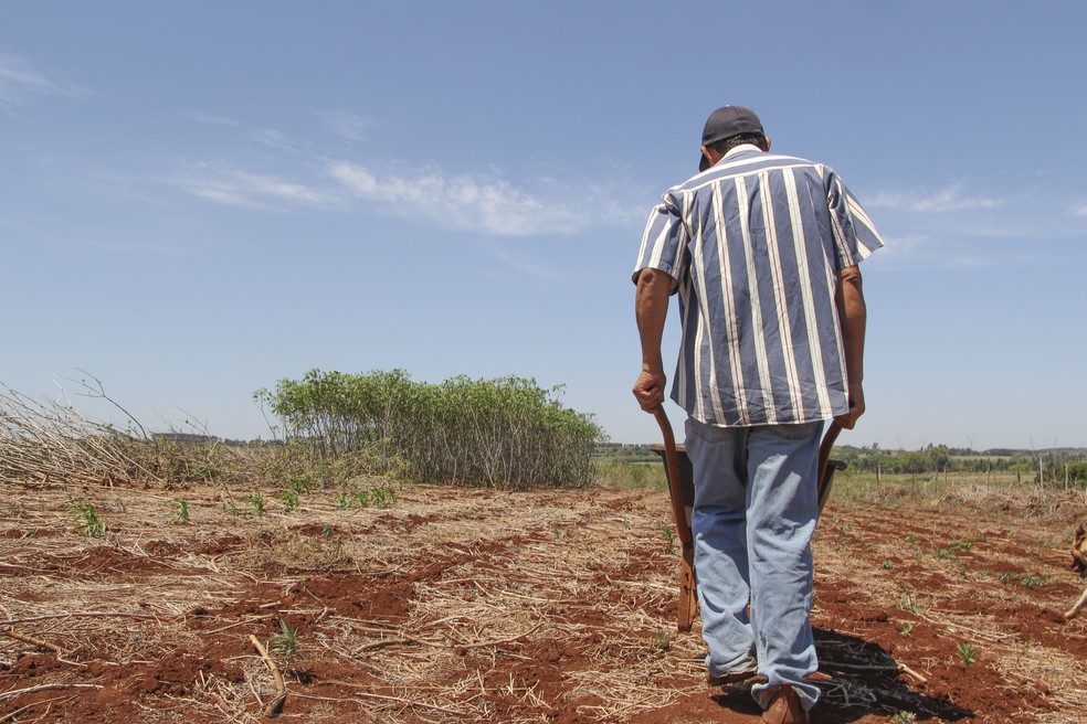 Governo Federal libera R$ 500 milhões para apoiar agricultura familiar na pandemia do coronavírus