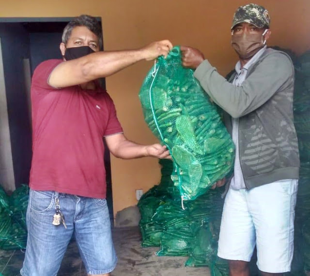 VEREADOR MARCOS QUITO CONQUISTA MAIS DE 30 MIL MUDAS DE PALMAS PARA AGRICULTORES FAMILIARES DO MUNICÍPIO DE JAGUARARI