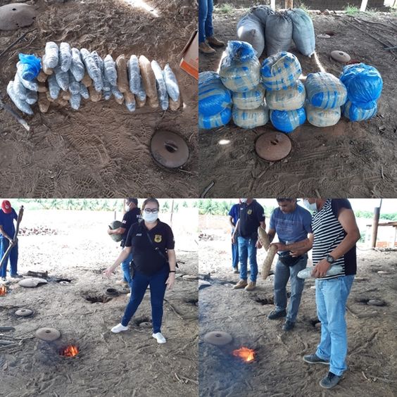 Operação Desmonte: Drogas apreendidas em Chorrochó e Macururé são incineradas