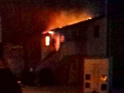 Cadela de estimação salva família de incêndio em Campina Grande