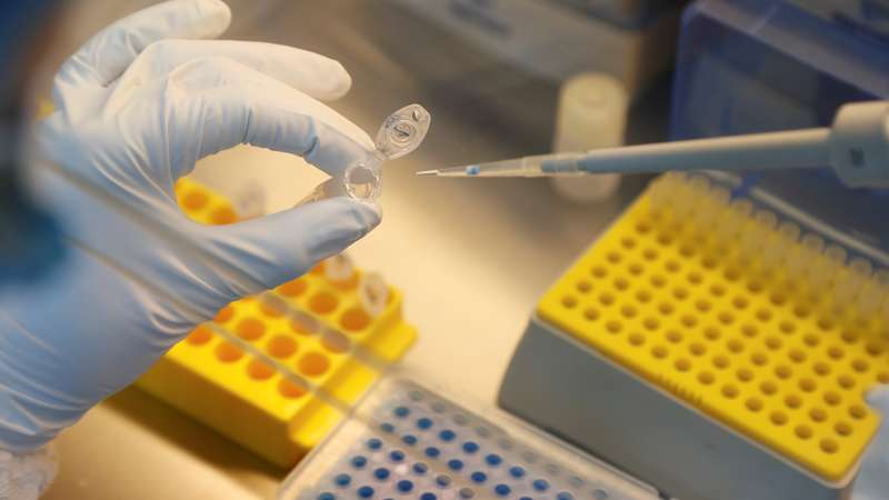 Vacina chinesa chega a SP e testes com voluntários devem começar nesta segunda, segundo governo