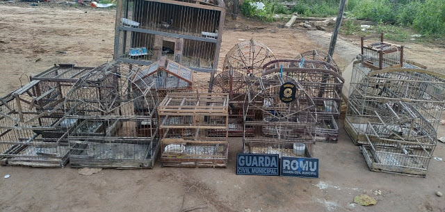 Secretaria Municipal do Meio Ambiente-SEMMA e GCM, resgatam animais silvestres mantidos em cativeiro na zona Rural de Cícero Dantas-BA