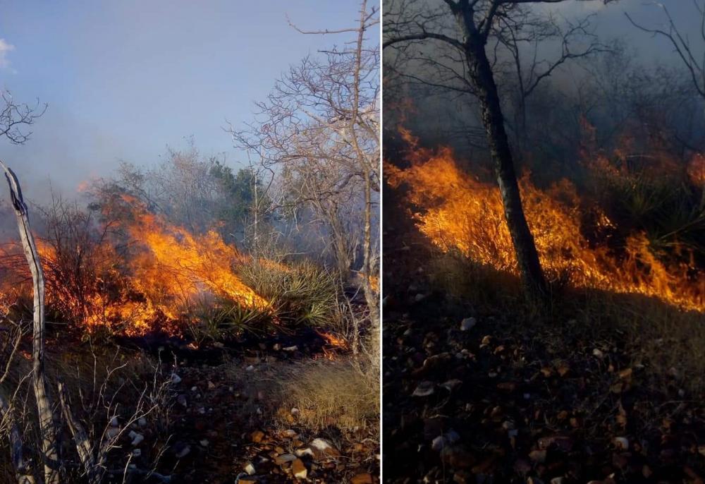 Incêndio de grandes proporções atinge há 3 dias vegetação na comunidade de Marruá, em Macururé