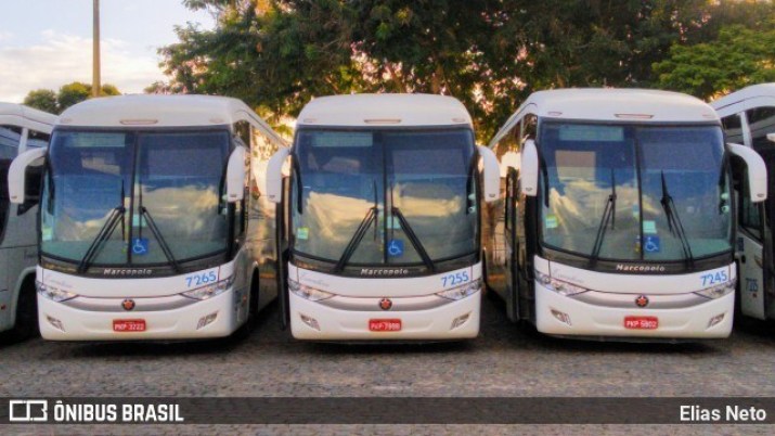 Transporte intermunicipal liberado para as cidades de Uauá, Juazeiro, Euclides da Cunha, Curaçá e Canudos.