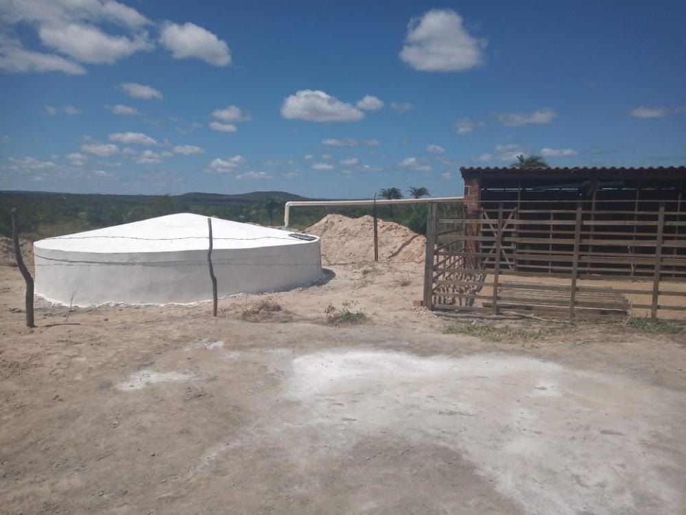 Comunidade rural de Monte Santo apresenta melhorias no manejo de caprinos