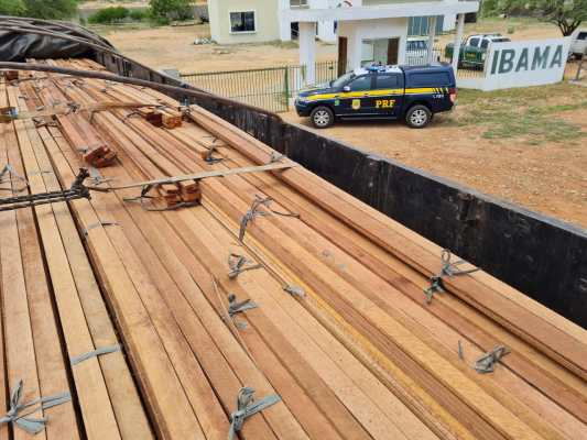 PRF finaliza Operação Caapora com grandes apreensões de madeira em Petrolina