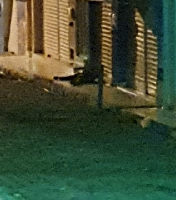 Discussão termina em tentativa de homicídio em Uauá (BA).