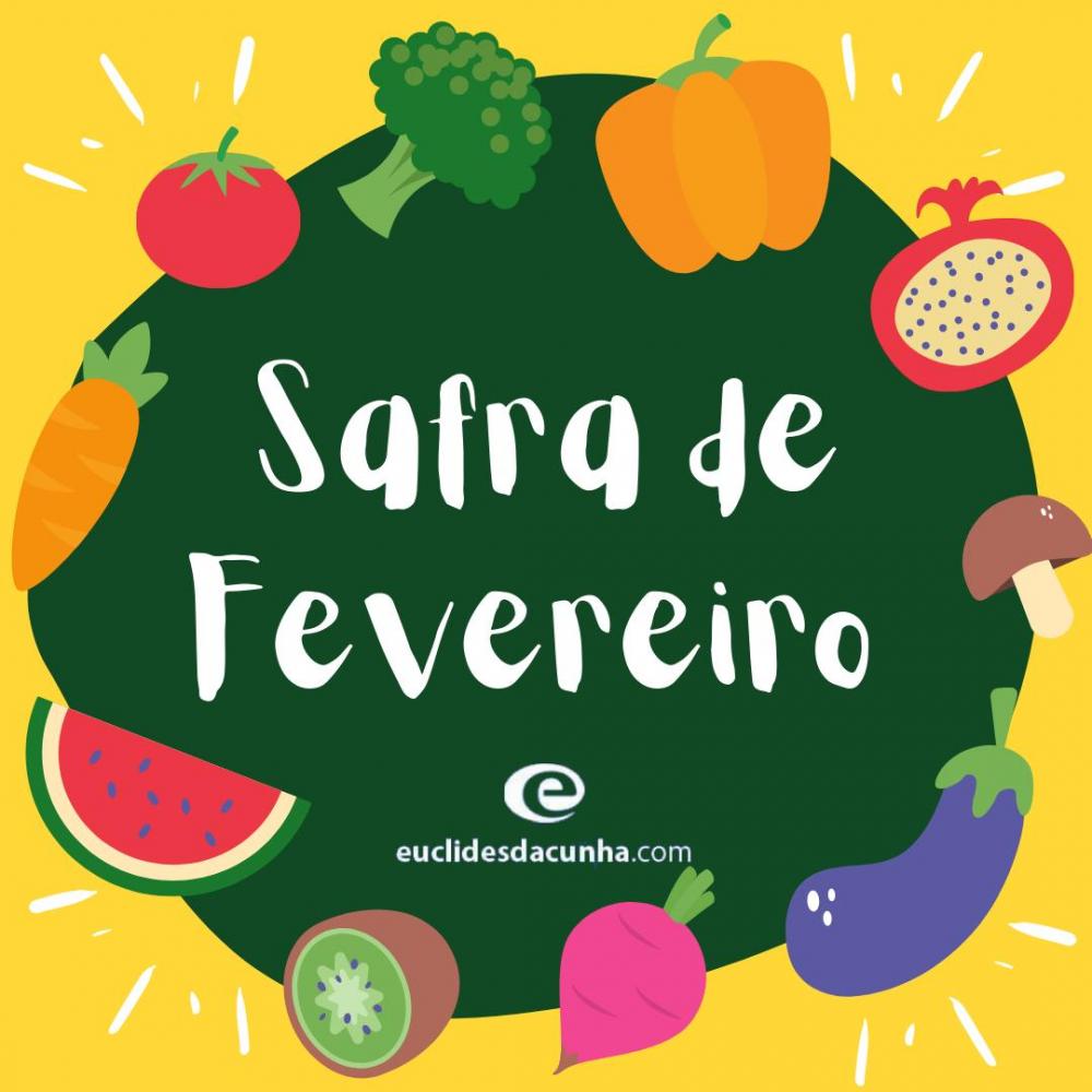 Safra: Veja o que está no pico em fevereiro de 2021 e com preços baixos em Euclides da Cunha 