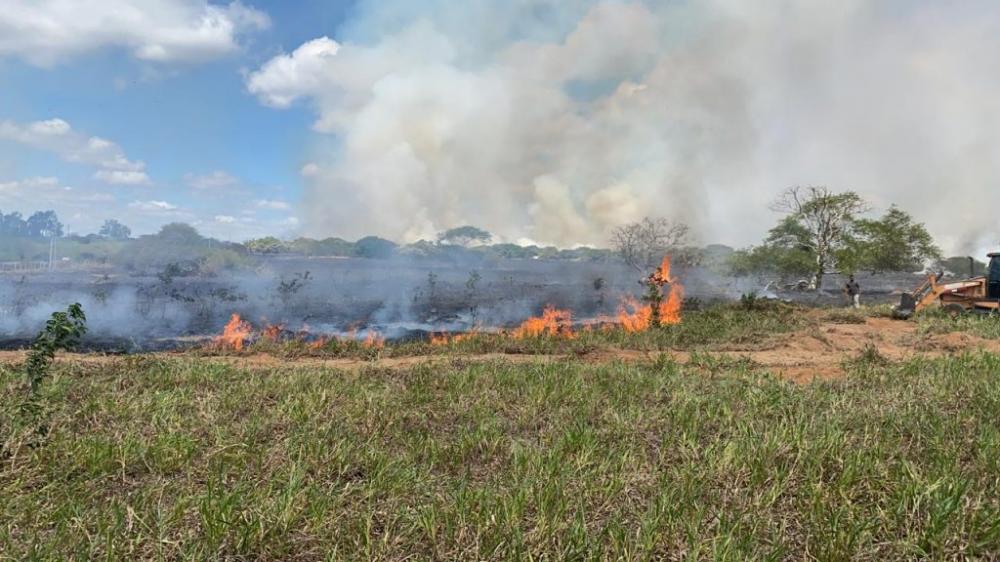 Homem provoca incêndio e devasta fazenda, em Ribeira do Pombal-BA