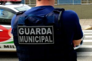STF autoriza porte de arma a todas as guardas municipais do país