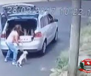 Polícia Civil prende mulher flagrada abandonando cachorro em rua; veja vídeo