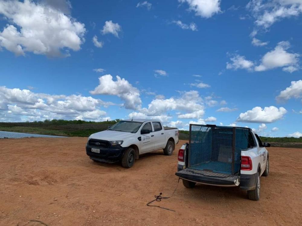 No último dia (08), foi realizado pela equipe do Inema, a soltura de um jacaré, da espécie Caiman latirostris, no açude de Cocorobó, município de Canudos. 