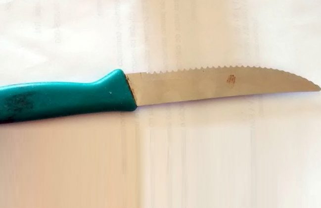 Professora é esfaqueada pelo próprio filho no interior da Bahia