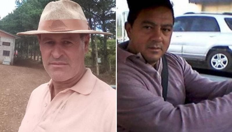 Pedreiro vai buscar cesta básica, acha carteira com R$ 12 mil e devolve ao dono em SC
