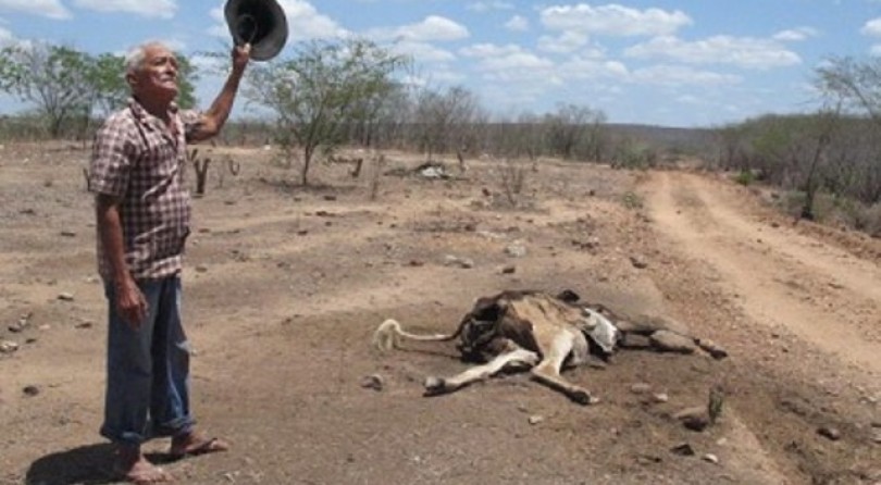 Nordeste enfrenta maior seca em 100 anos