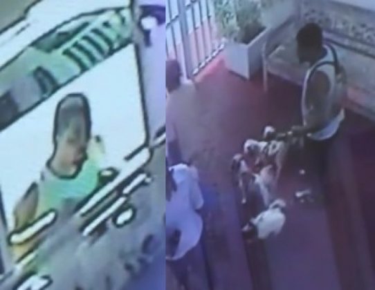 Ladrão se passa por adestrador, posta anúncio na OLX e furta quatro cães de raça na Bahia