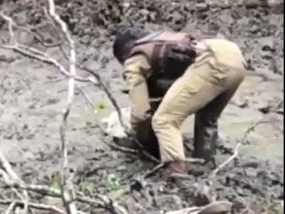 Policiais militares salvam animal atolado em lamaçal em Monte Santo-BA