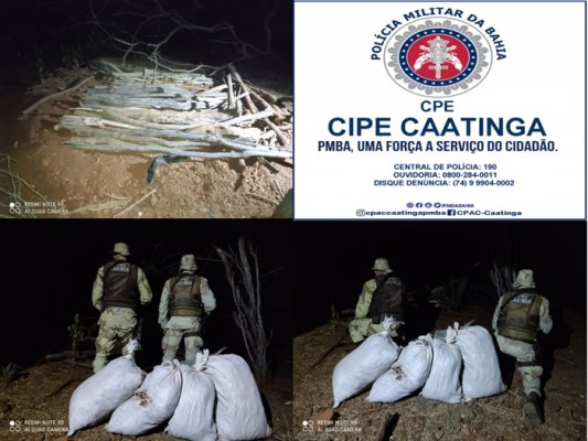 Cipe Caatinga descobre 50 kg de maconha enterrados em quintal de casa, no distrito de Carnaíba, em Juazeiro
