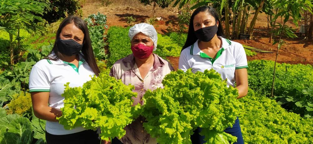 Serviço de assistência técnica promove desenvolvimento para agricultoras familiares do Sertão Produtivo