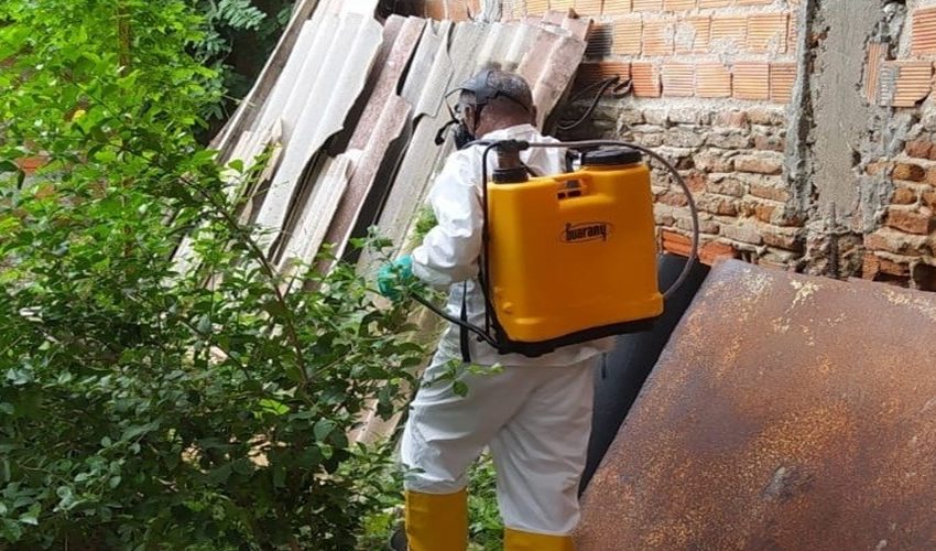 Ações de combate ao mosquito da dengue são intensificadas devido a período de chuvas em Paulo Afonso