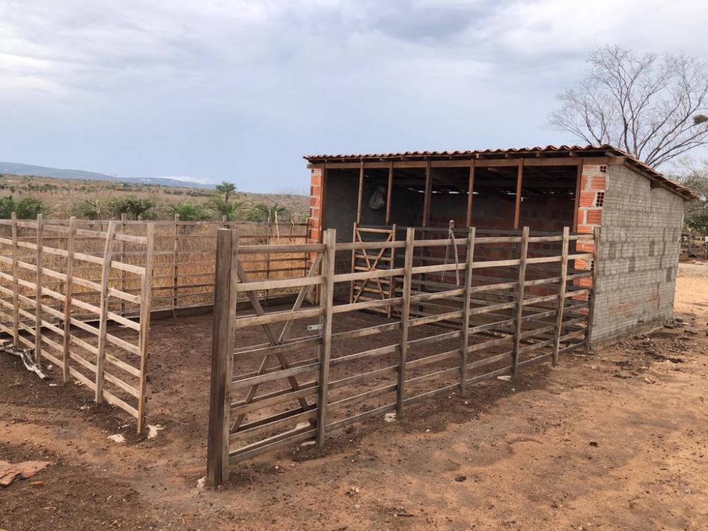 Agricultores familiares da zona rural de Monte Santo melhoram produção de caprinos e ovinos, diz SDR