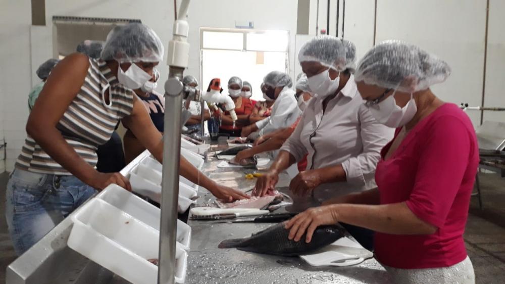 Pescadoras artesanais de Itiúba participam de oficina de beneficiamento de peixes