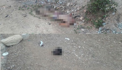 Corpo de homem é encontrado decapitado em Euclides da Cunha