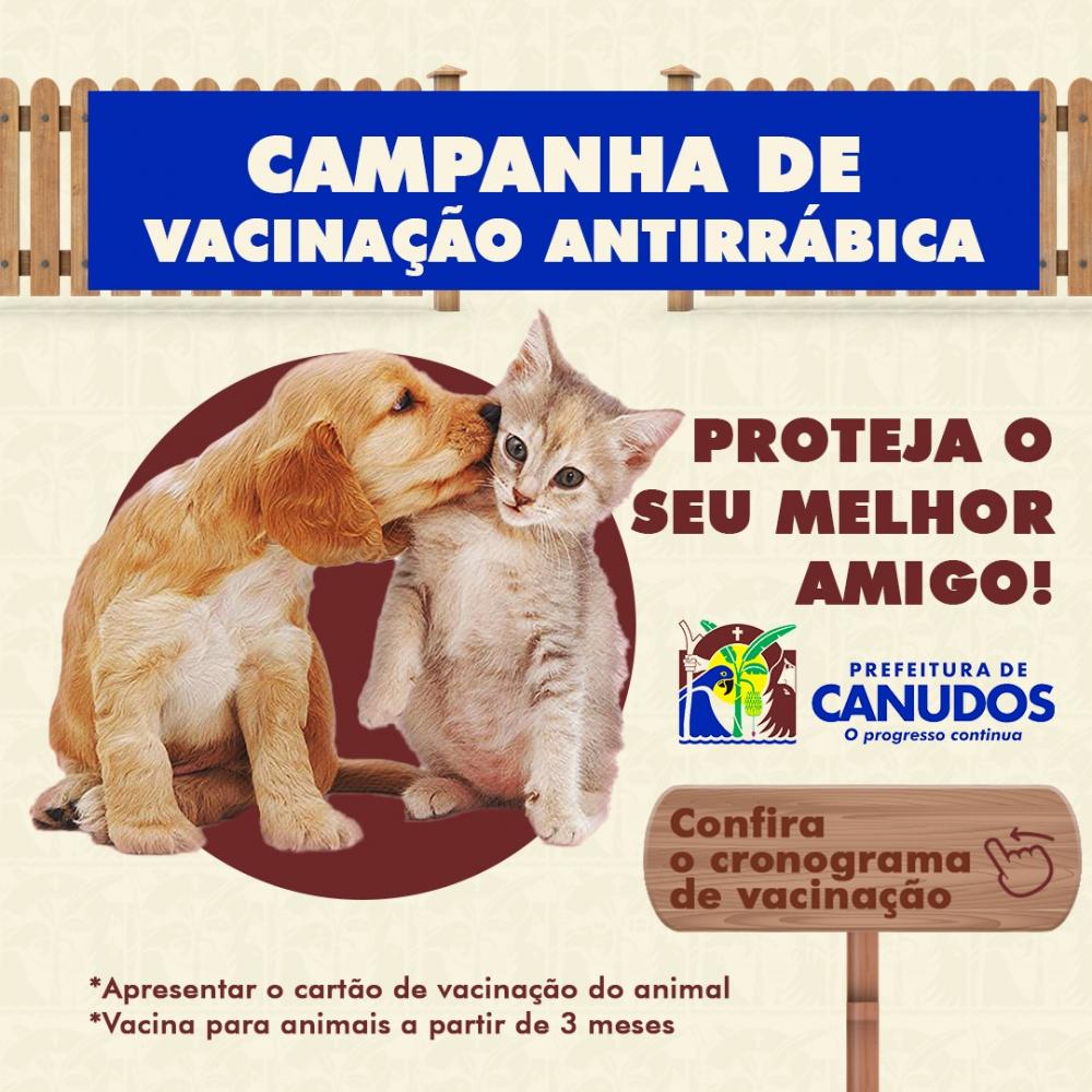 Nesta Quarta-feira (25) e Quinta-feira (26) estará acontecendo a vacinação antirrábica para gatos e cachorros. 