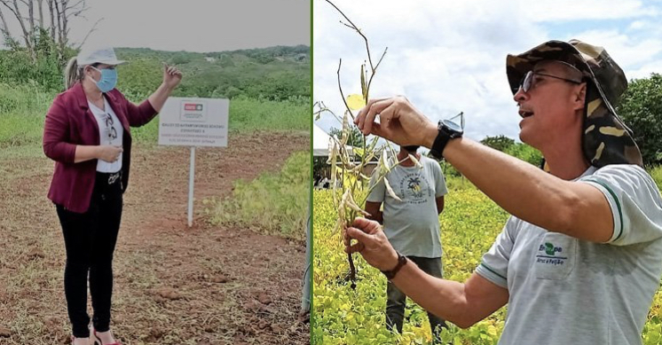 ENTREVISTA: Especialista da Embrapa e secretária da Agricultura falam sobre testes com sementes de feijão