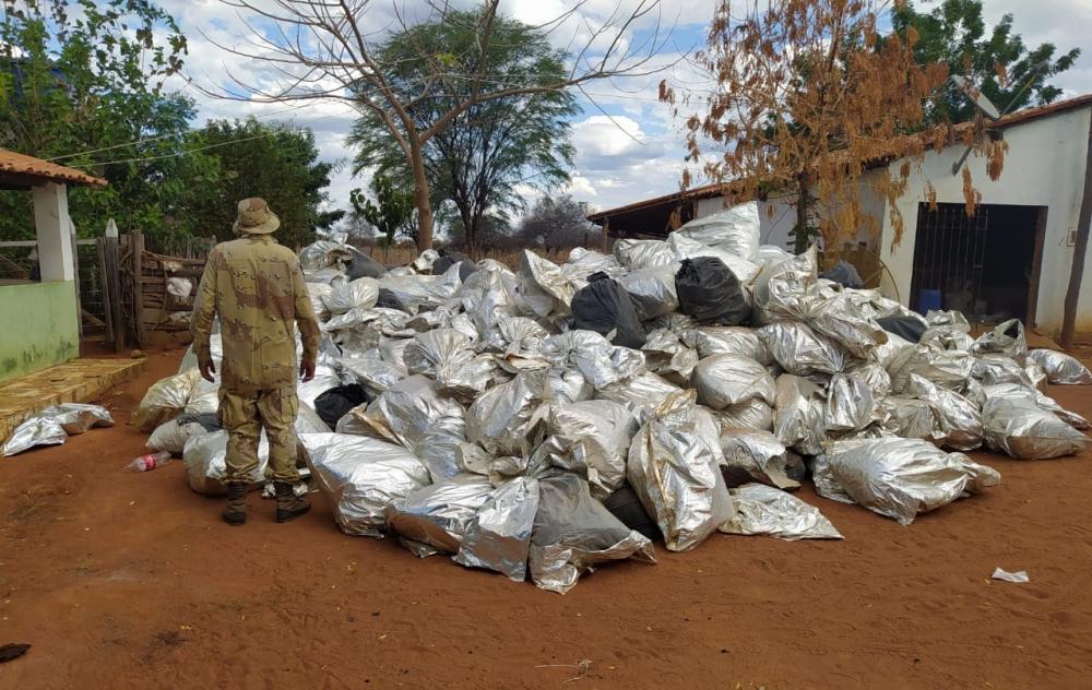 Maior apreensão de drogas da história do estado baiano