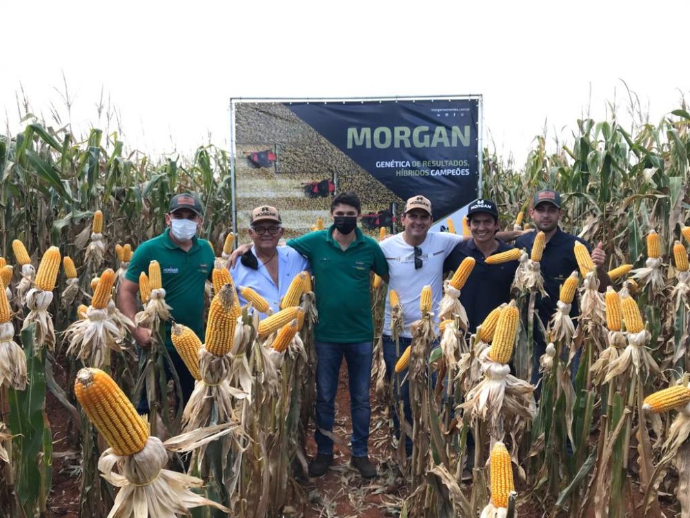 Cerealista Aparecida e Morgan Sementes se despontam pela oferta de tecnologia agrícola em Euclides da Cunha e região