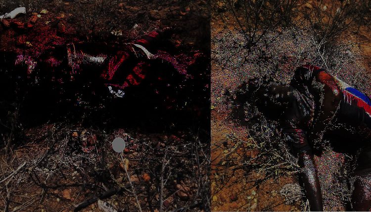 Dois corpos são encontrados em estado de decomposição na região de Sítio do Tomás, interior de Uauá (BA)