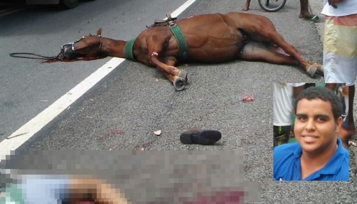 Homem e cavalo morrem atropelados na BR 324 em Tanquinho