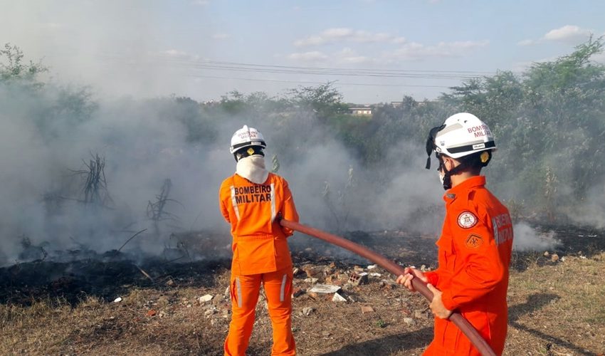 Bombeiros conseguem conter fogo em vegetação seca nas proximidades do IFBA em Paulo Afonso