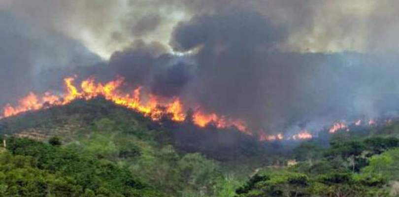 Estado decreta situação de emergência por incêndio florestal em 16 cidades da Bahia