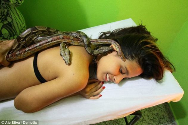 Salão de beleza inova e passa a oferecer massagem feita por cobra; veja vídeo