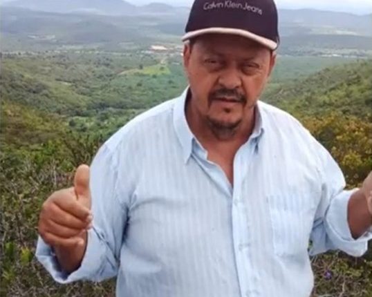 Homem é atacado por abelhas e passa por quase 24 horas desaparecido