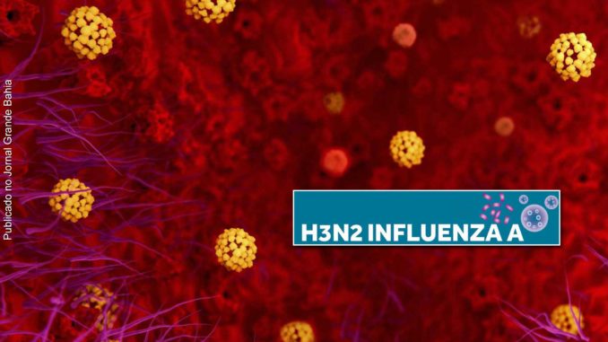 Bahia registra primeiro óbito por H3N2; 48 casos evoluíram para internação