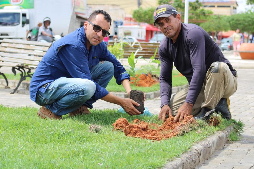 A Prefeitura de Canudos, por meio da Secretaria de Meio Ambiente e Recursos Hídricos, realizou hoje o plantio de mudas de árvores nas avenidas JK e Enoque Canário. 