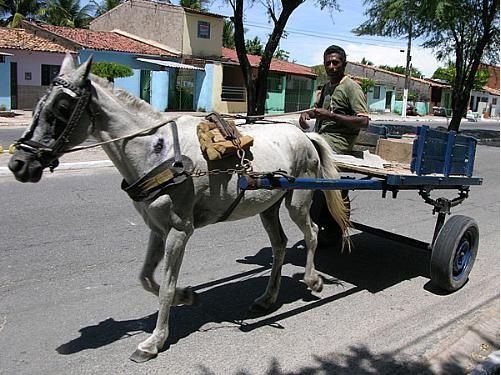 Prefeitura de cidade baiana exige emplacamento e habilitação para carroceiros