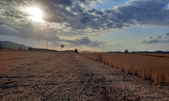 Coopercuc Uauá participará, em Itabaina (SE), da “Sealba Agro Show”, e contará história de sucesso