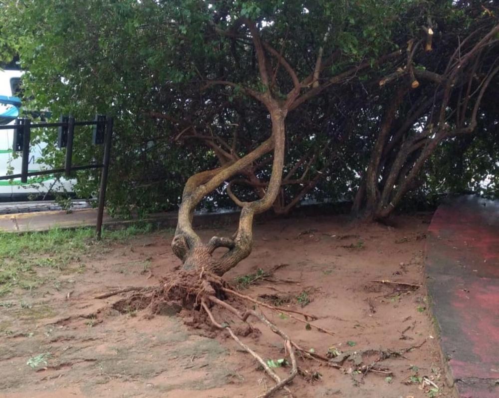 Trovoada inunda ruas e causa danos na cidade de Euclides da Cunha