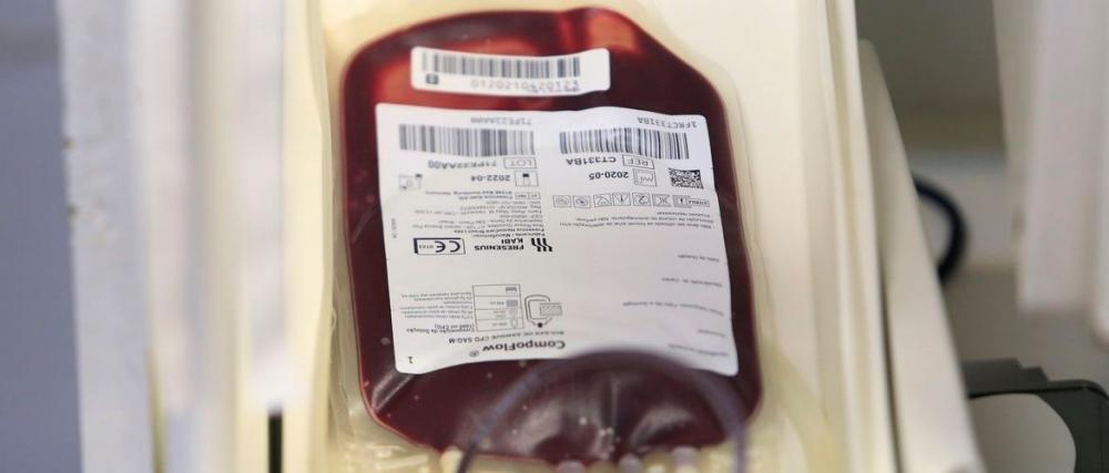 Saúde e Anvisa atualizam regras para doação de sangue durante pandemia
