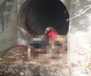 Corpos em estado de decomposição são encontrados na zona rural de Glória- BA