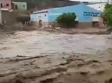 Chuva arranca arvore e arrasta carro em Novo Triunfo, veja vídeo