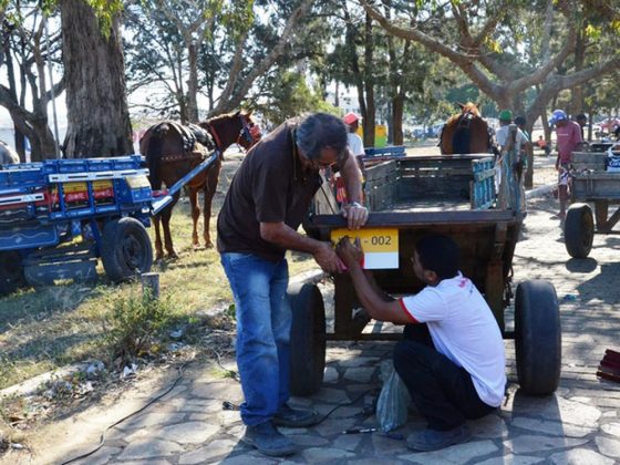 Agora é oficial: Cidade baiana terá carroças emplacadas e cavalos com “fraldas”