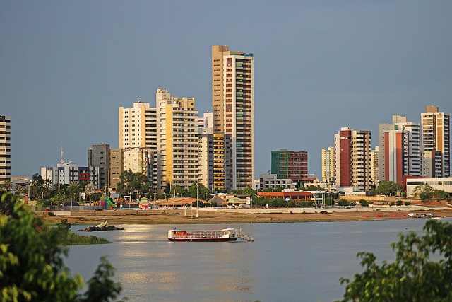 Chikungunya: Petrolina está entre as 10 cidades do País com mais casos