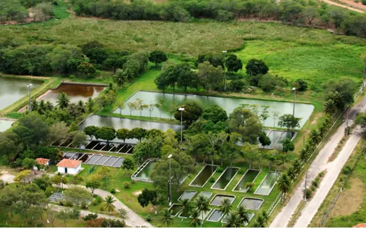 Chesf aprova programa de preservação das espécies de peixes em Paulo Afonso