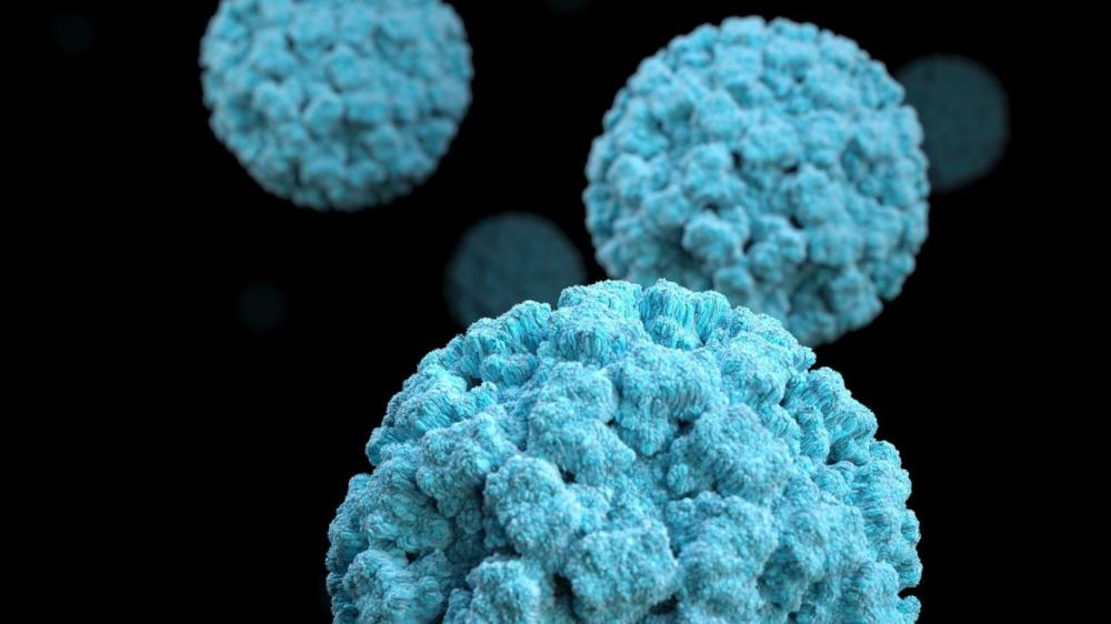 Surto de Norovírus em Salvador é altamente contagioso e preocupa virologistas