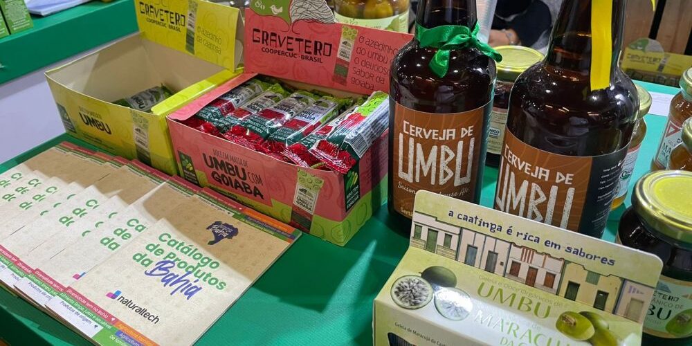 Cooperativa de Uauá lança nova linha de produtos em São Paulo
